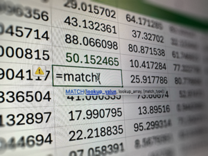 Silabus Training Microsoft Excel for Finance and Accounting